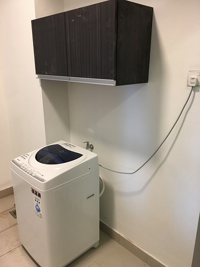 molekpine3